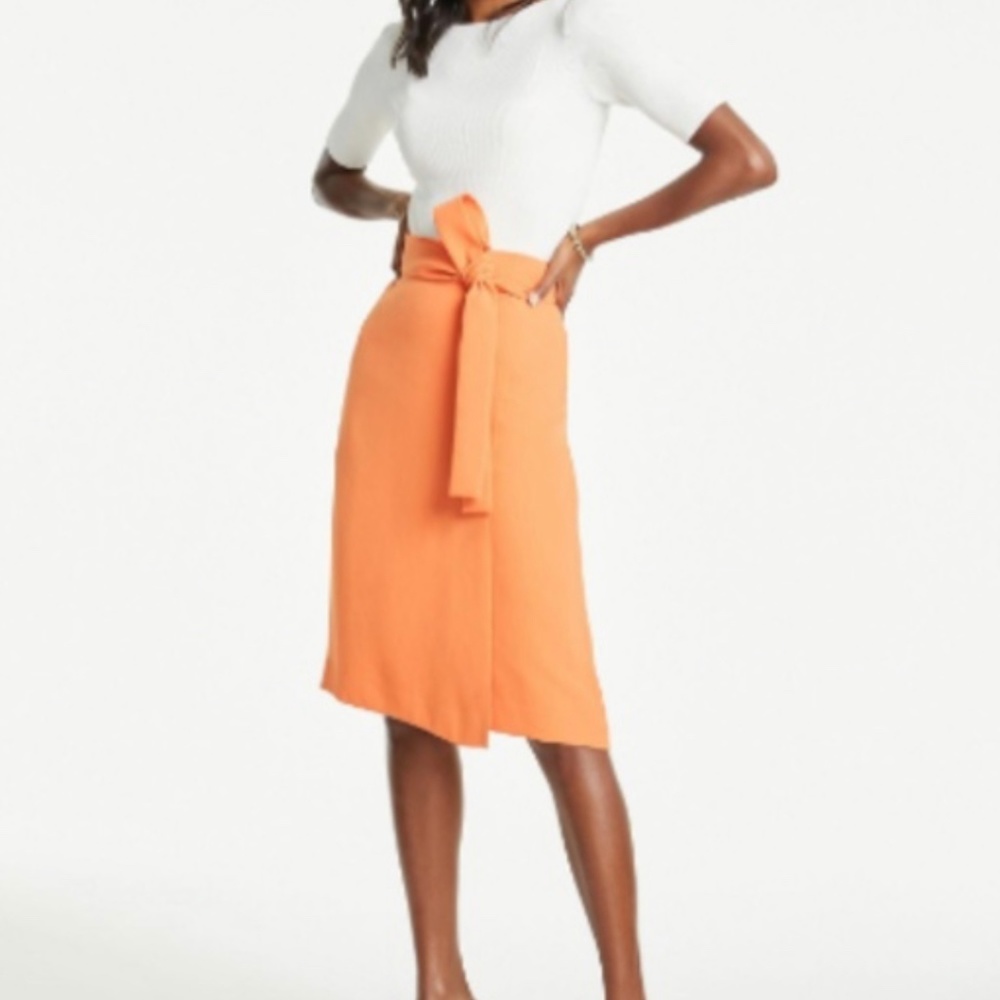Ann Taylor Tie Waist Skirt